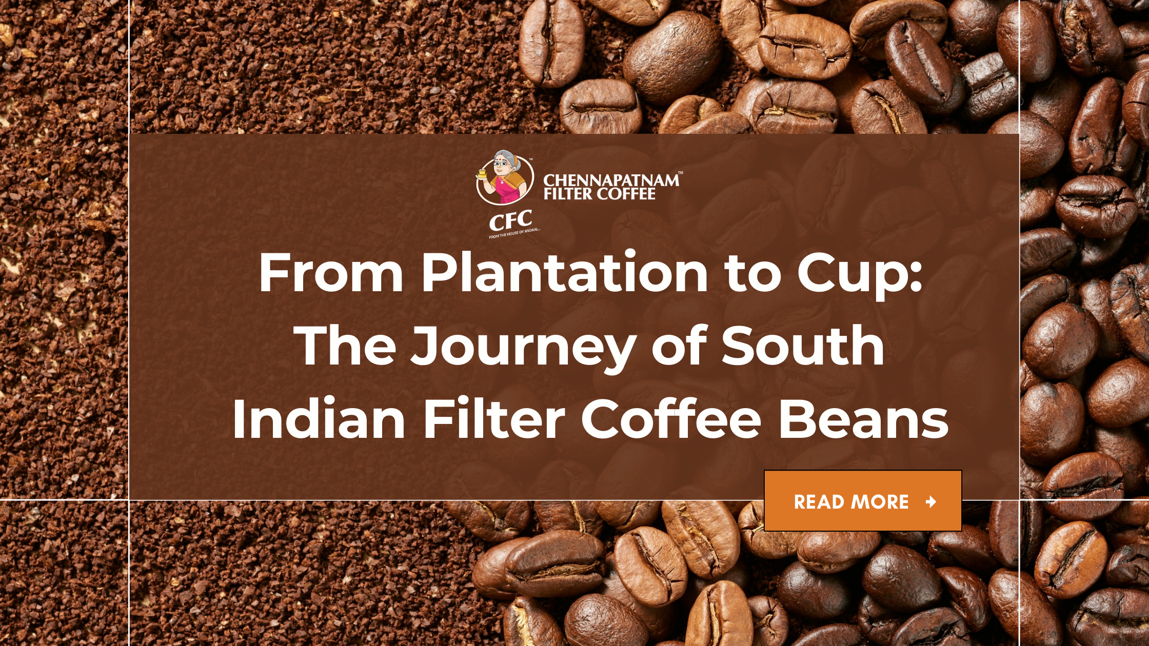 From Plantation to Cup